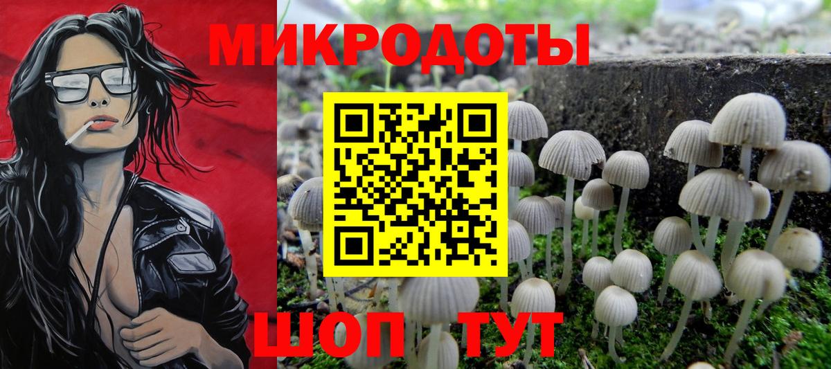 Псилоцибиновые грибы MAGIC MUSHROOMS  Вход с VPN  Набережные Челны 