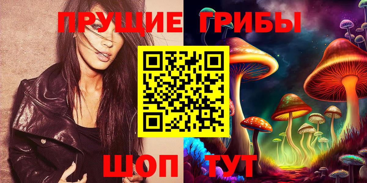 Псилоцибиновые грибы Psilocybe Набережные Челны